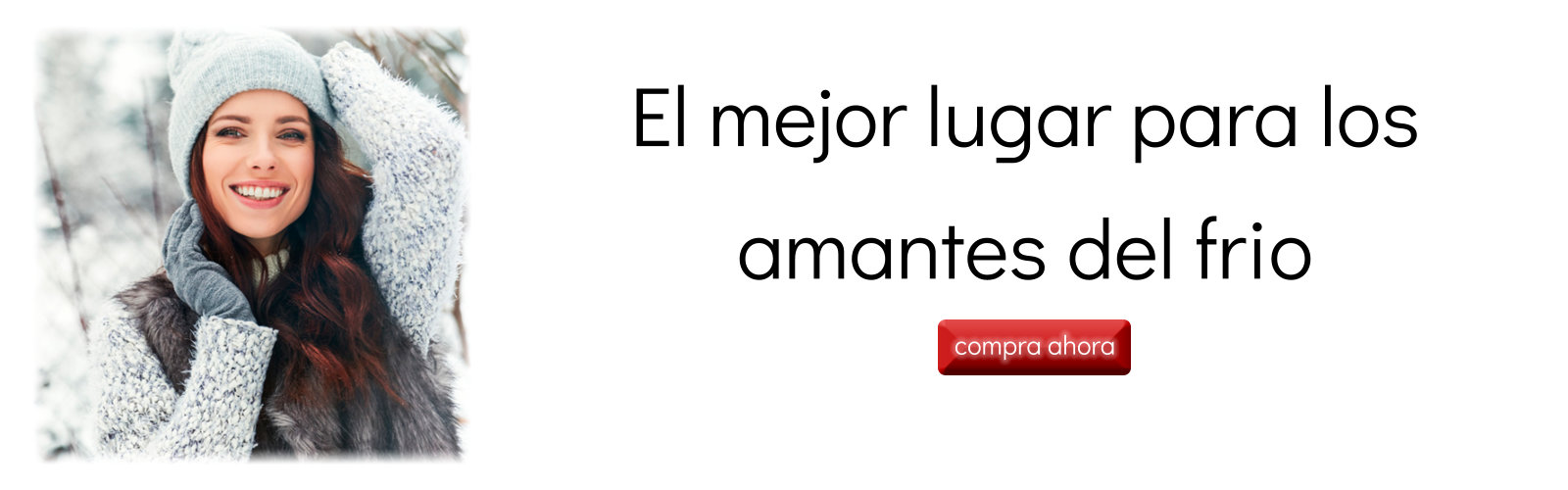 banerinvierno